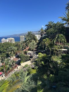 FOTKA - Puerto de la Cruz - klidn kout Tenerife