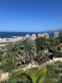 FOTKA - Puerto de la Cruz - klidn kout Tenerife