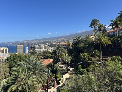 FOTKA - Puerto de la Cruz - klidn kout Tenerife