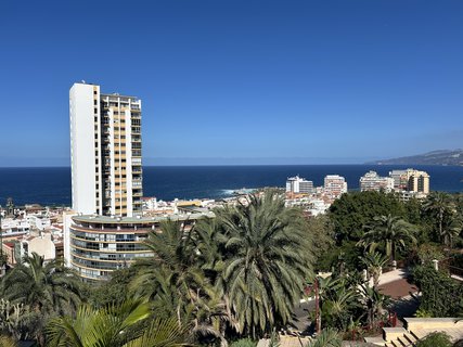FOTKA - Puerto de la Cruz - klidn kout Tenerife