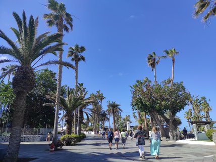 FOTKA - Puerto de la Cruz - klidn kout Tenerife