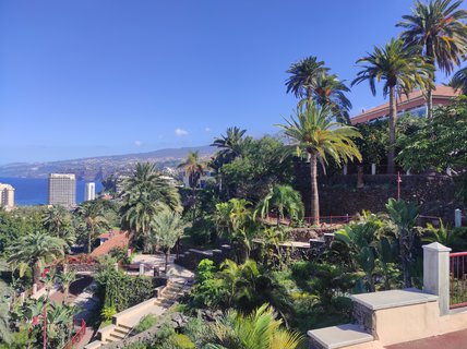 FOTKA - Puerto de la Cruz - klidn kout Tenerife