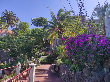 FOTKA - Puerto de la Cruz - klidn kout Tenerife