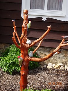 FOTKA - Harrachov - br�na Krakono�ova panstv�