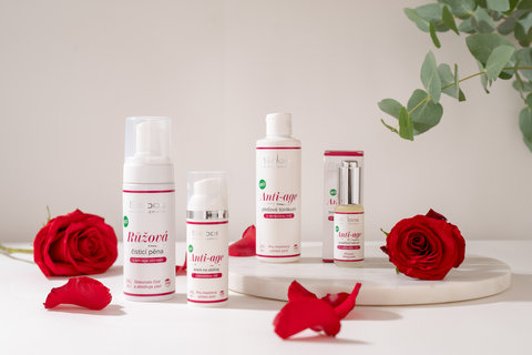 FOTKA - Vnoce sprodn kosmetikou Saloos