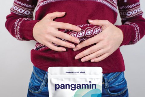 FOTKA - Vnon pohoda po esku: jak si ut svtky schut, zdravji a bez plen hy