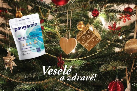 FOTKA - Vnon pohoda po esku: jak si ut svtky schut, zdravji a bez plen hy