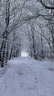 FOTKA - V�no�n� ztr�ty a n�lezy