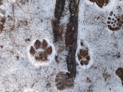 FOTKA - V�no�n� ztr�ty a n�lezy