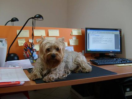 FOTKA - M� hobby bez vitr�n