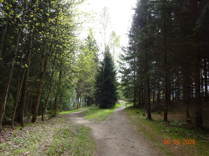 FOTKA - Proch�zka Anensk�m �dol�m