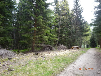 FOTKA - Proch�zka Anensk�m �dol�m