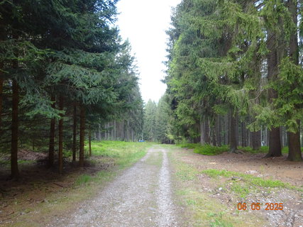 FOTKA - Proch�zka Anensk�m �dol�m