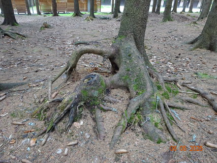 FOTKA - Proch�zka Anensk�m �dol�m