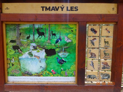 FOTKA - Proch�zka Anensk�m �dol�m