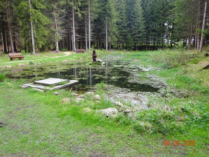 FOTKA - Proch�zka Anensk�m �dol�m