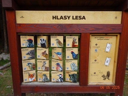 FOTKA - Proch�zka Anensk�m �dol�m