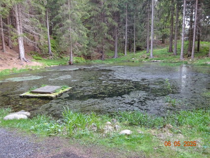 FOTKA - Proch�zka Anensk�m �dol�m