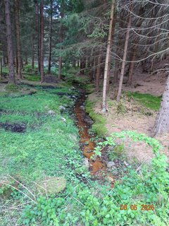 FOTKA - Proch�zka Anensk�m �dol�m