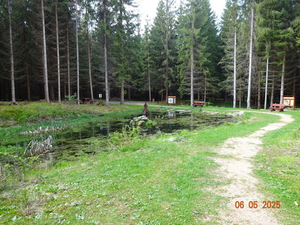 FOTKA - Proch�zka Anensk�m �dol�m