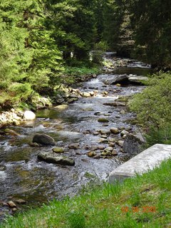 FOTKA - Proch�zka Anensk�m �dol�m