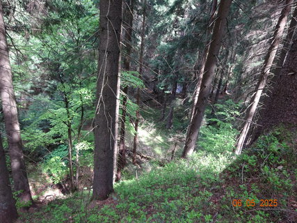 FOTKA - Proch�zka Anensk�m �dol�m