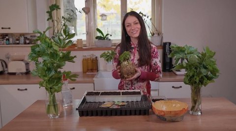 FOTKA - RECEPT�� PRIMA N�PAD� 14. 12. 2025