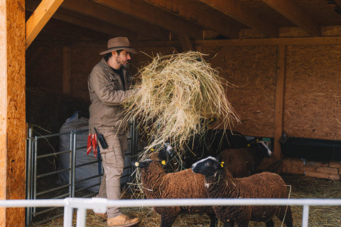 FOTKA - Farma Vojty Kotka, dl 8: Elektrik, ovk, ale tak kok, bagrista, stjnk... Kolik rol Vojta zvldne bhem jedinho dlu?