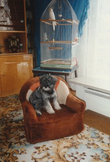 FOTKA - Den pln� emoc�