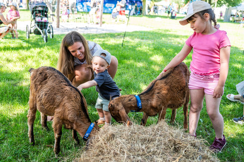 FOTKA - Z�itek pod strome�ek: kdy� v�no�n� d�rek nen� v�c, ale spole�n� pro�it� okam�ik