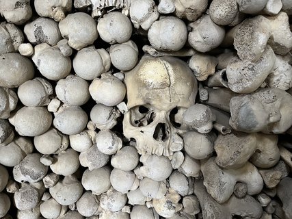 FOTKA - Kam za �t�st�m? T�eba do kostnice!