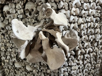 FOTKA - Kam za �t�st�m? T�eba do kostnice!