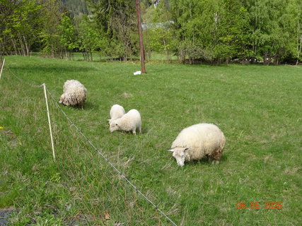 FOTKA - V�stup na �ertovu horu