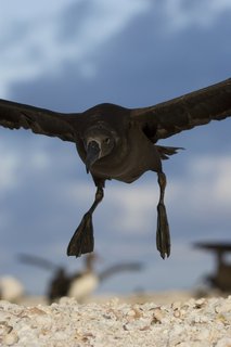 FOTKA - Unik�tn� dokumenty na Prima ZOOM pro 1. t�den