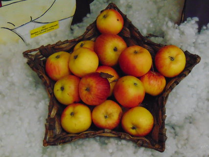 FOTKA - I tady jsme byli - �ib�idice, Kn�i�ky