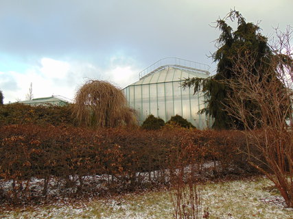 FOTKA - I tady jsme byli - Botanick� zahrada Liberec