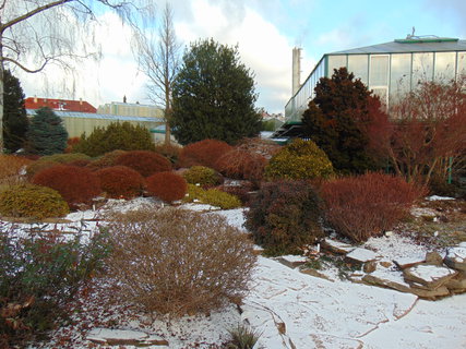 FOTKA - I tady jsme byli - Botanick� zahrada Liberec