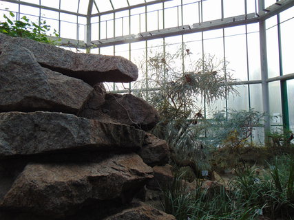 FOTKA - I tady jsme byli - Botanick� zahrada Liberec