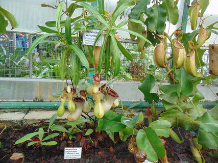 FOTKA - I tady jsme byli - Botanick� zahrada Liberec