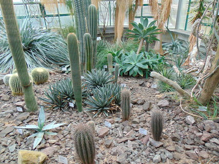 FOTKA - I tady jsme byli - Botanick� zahrada Liberec