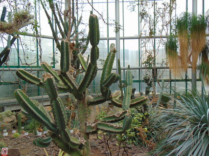 FOTKA - I tady jsme byli - Botanick� zahrada Liberec