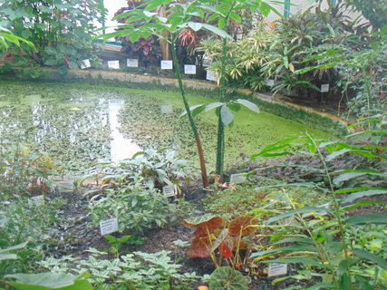 FOTKA - I tady jsme byli - Botanick� zahrada Liberec