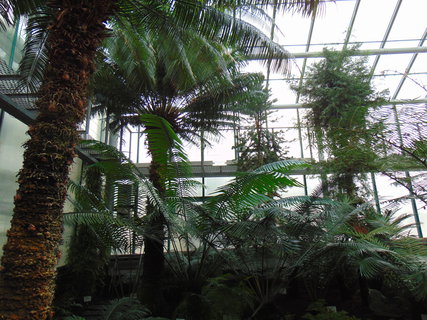 FOTKA - I tady jsme byli - Botanick� zahrada Liberec