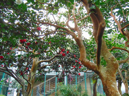 FOTKA - I tady jsme byli - Botanick� zahrada Liberec