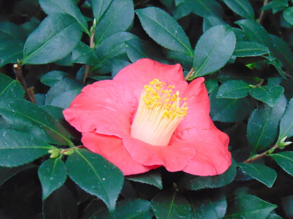 FOTKA - I tady jsme byli - Botanick� zahrada Liberec