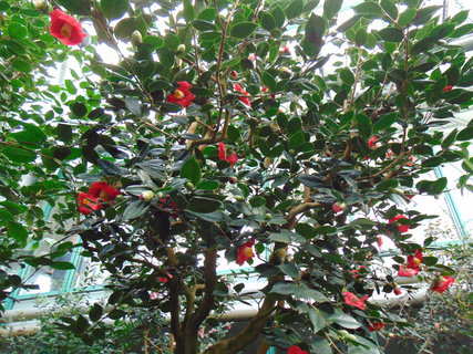 FOTKA - I tady jsme byli - Botanick� zahrada Liberec