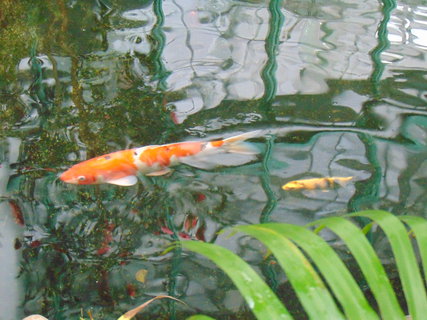 FOTKA - I tady jsme byli - Botanick� zahrada Liberec