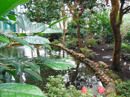 FOTKA - I tady jsme byli - Botanick� zahrada Liberec