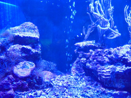 FOTKA - I tady jsme byli - Botanick� zahrada Liberec