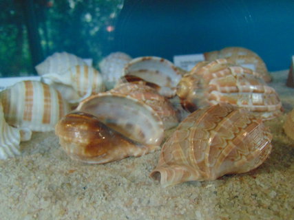 FOTKA - I tady jsme byli - Botanick� zahrada Liberec